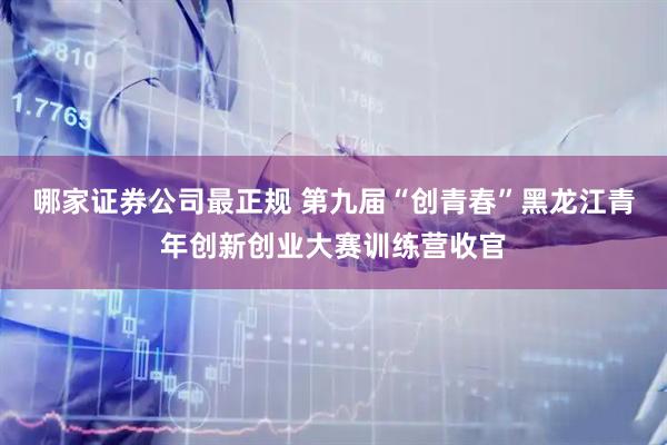 哪家证券公司最正规 第九届“创青春”黑龙江青年创新创业大赛训练营收官